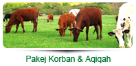 Pakej Korban Aqiqah HS Nada