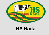 HS Nada Group